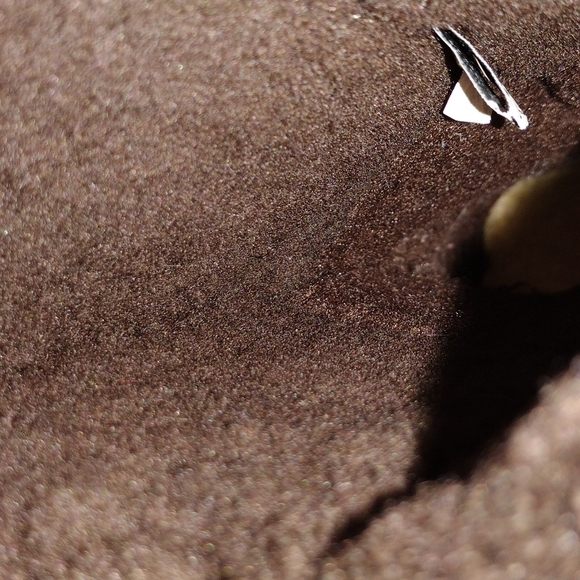 Bearpaw Boots - Picture 6 of 6